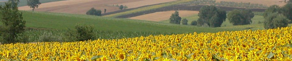 Chapman Italian Studies News