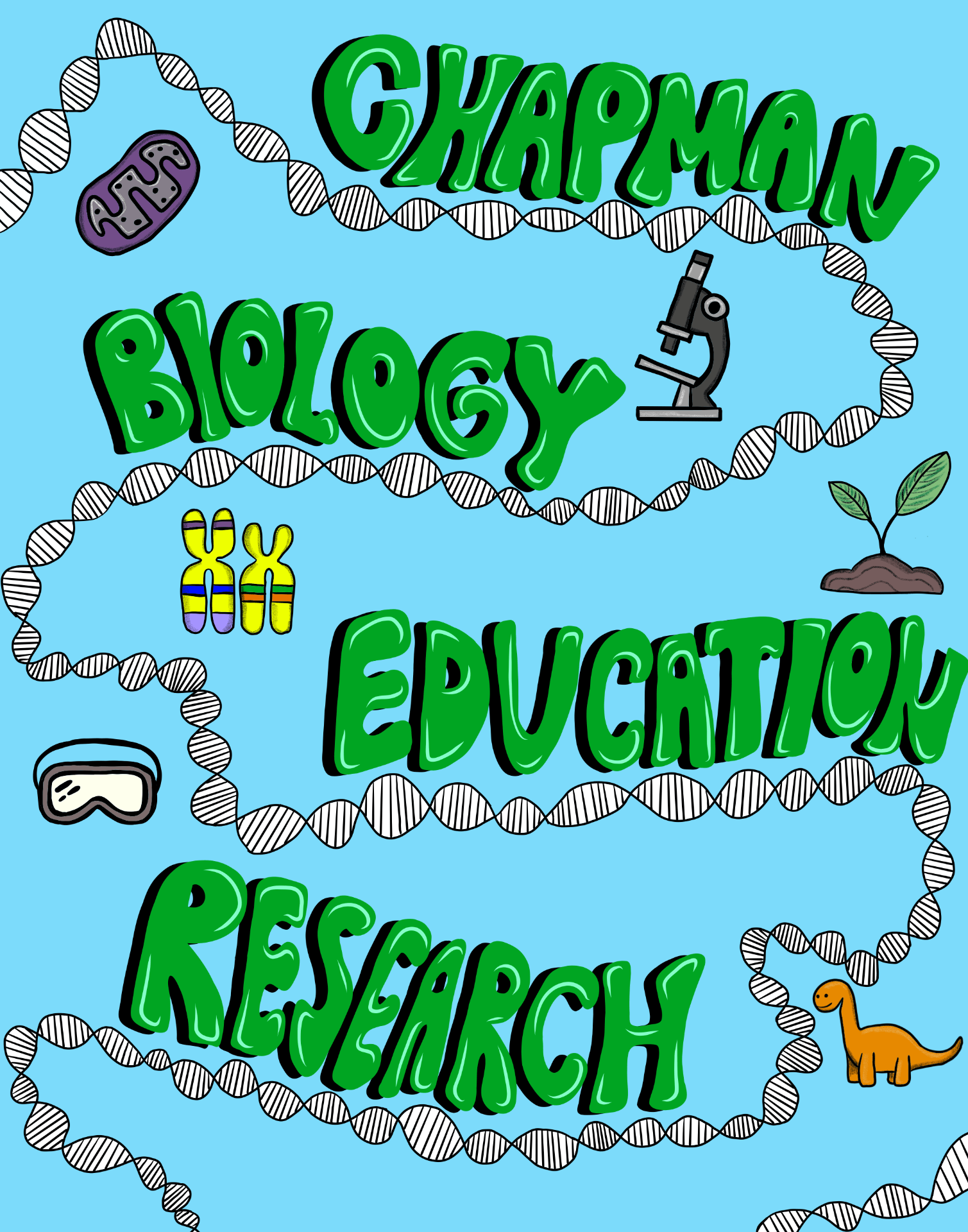 Chapman BER group logo