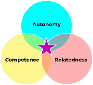 Three overlapping circles of autonomy, competence, and relatedness
