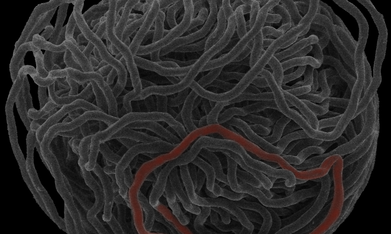 Biophysics of hagfish slime