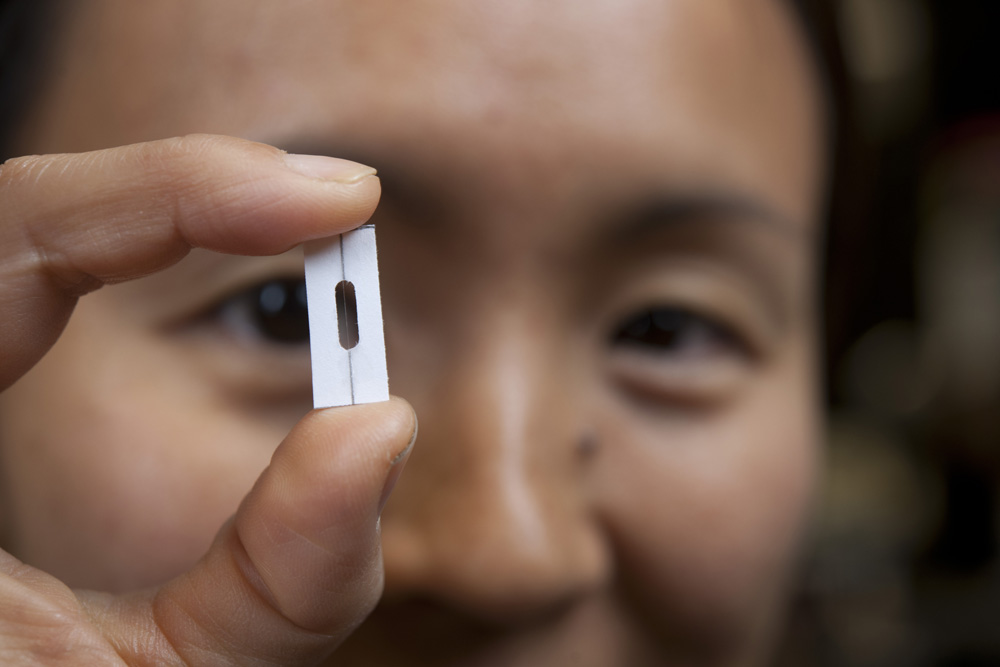 Biomimetics of high performance protein fibers