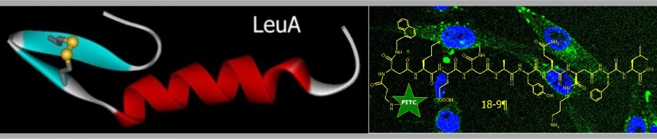 Biomimetics & Molecular Engineering Laboratory (Kaur Lab)