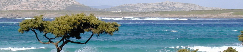 Chapman Italian Studies News