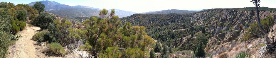 Chapman University Sites